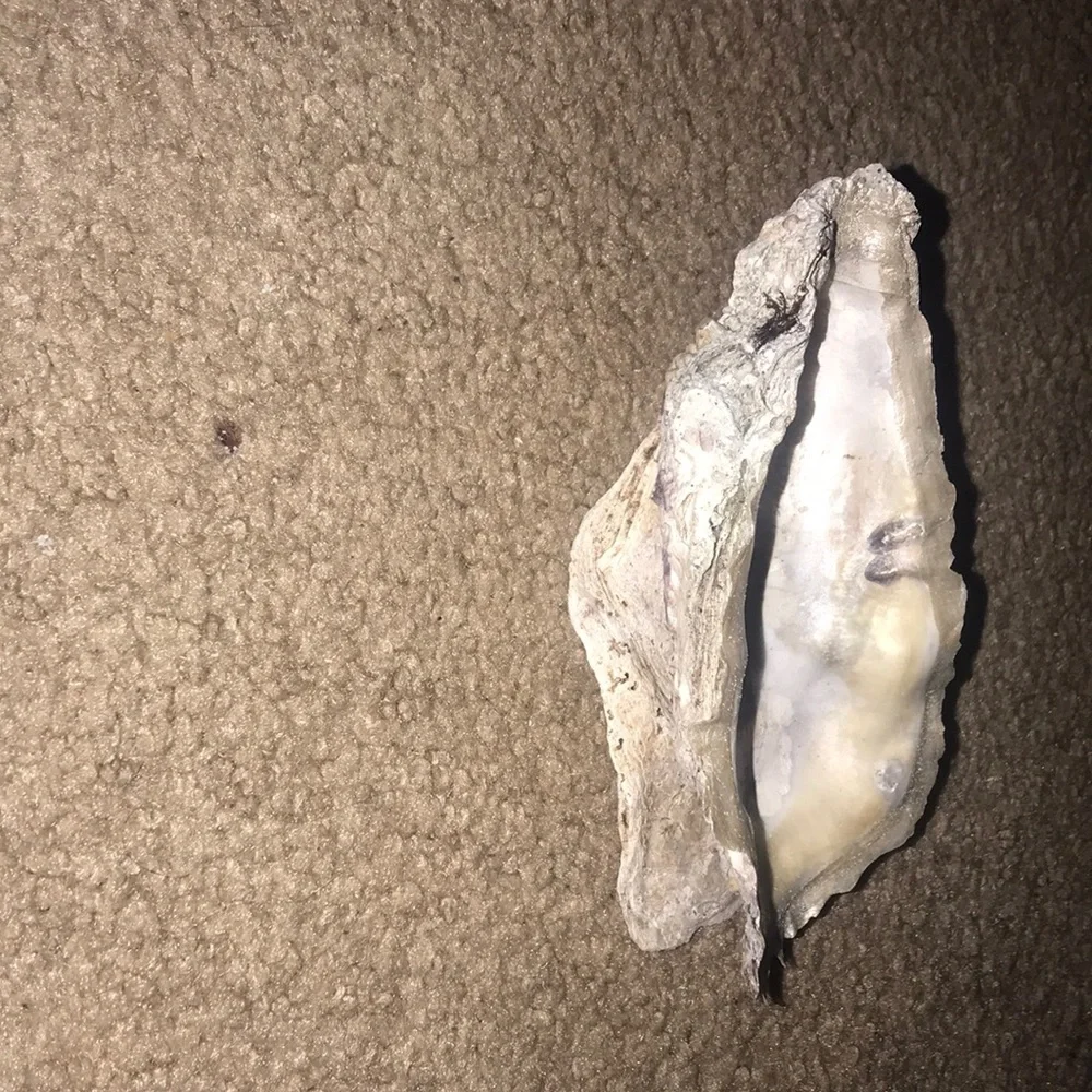 Hand Crafted oyster jewelry